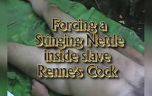 Sticking a stinging nettle in slave Renne's urethra