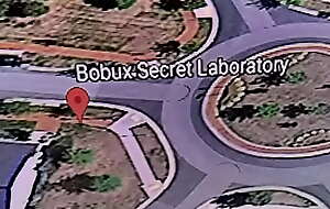 bobux minuscule laboratory