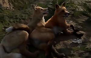 Gay Feral Fox