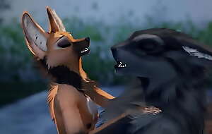 xxx Maned Wolf nabs BFCT’s attention, and while he lets her start out in control, it’s not long before he takes her for a ride unaffected by his own terms! xxx