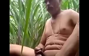 Village uncle wanking his big cock in sugarcane field