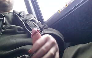 Stroking on the bus