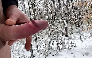 Superb snowy woods